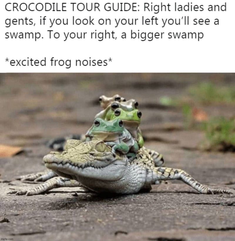 animal memes, funny animal memes, creature memes, beast memes, critter jokes, hilarious wildlife, comedic fauna, wild animal memes, safari jokes, untamed laughs, cute animal memes, adorable beast pics, fluffy funnies