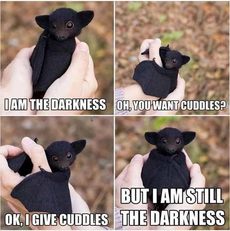 AM THE DARKNESS OH. YOU WANT CUDDLES? OK, I GIVE CUDDLES BUT I AM STILL THE DARKNESS
