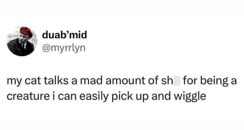 my cat talks a mad amount of sh for being a creature i can easily pick up