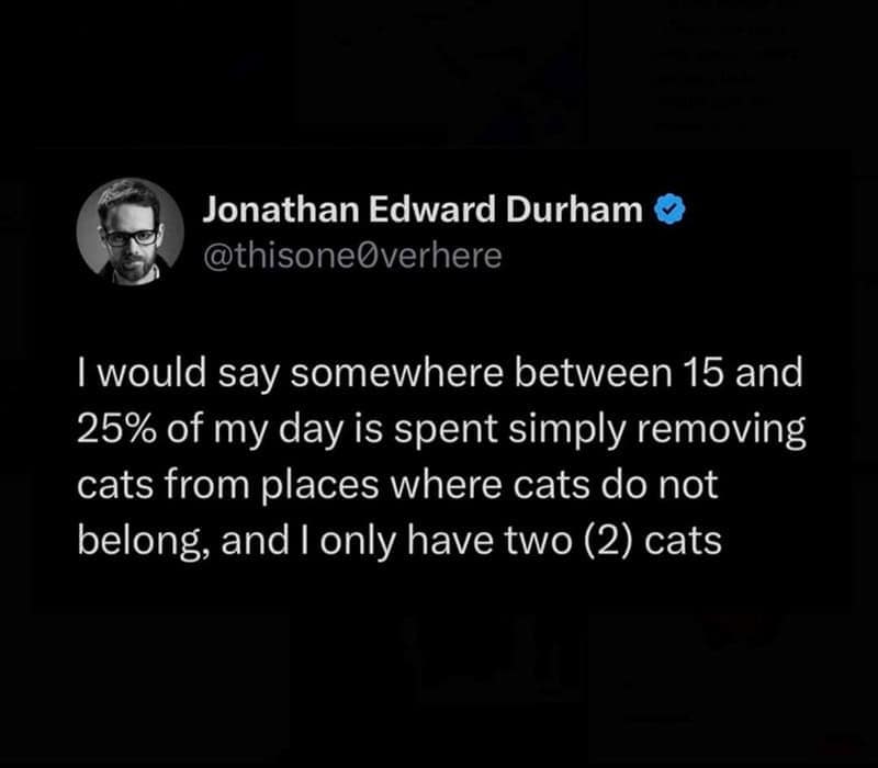 I would say somewhere between 15 and 25% of my day is spent simply removing cats from places where cats do not belong, and I only have two (2) cats