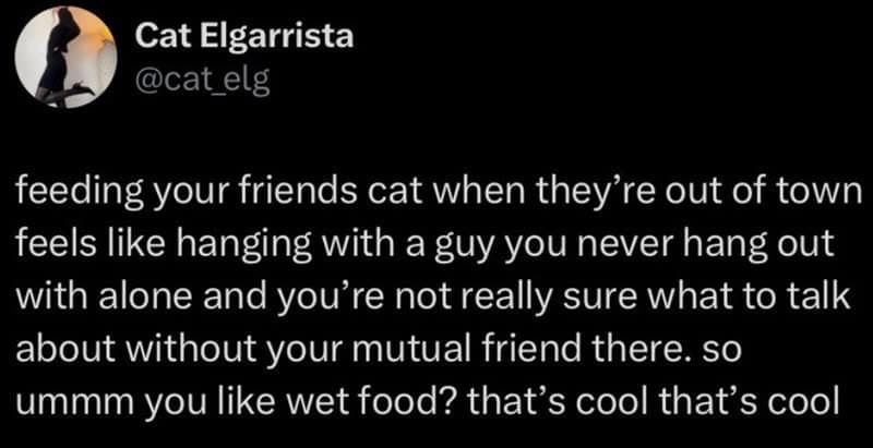 feeding your friends cat when they're out of town feels like hanging with a guy you never hang out with alone and you're not really sure what to talk about without your mutual friend there. so ummm you like wet food? that's cool that's cool
