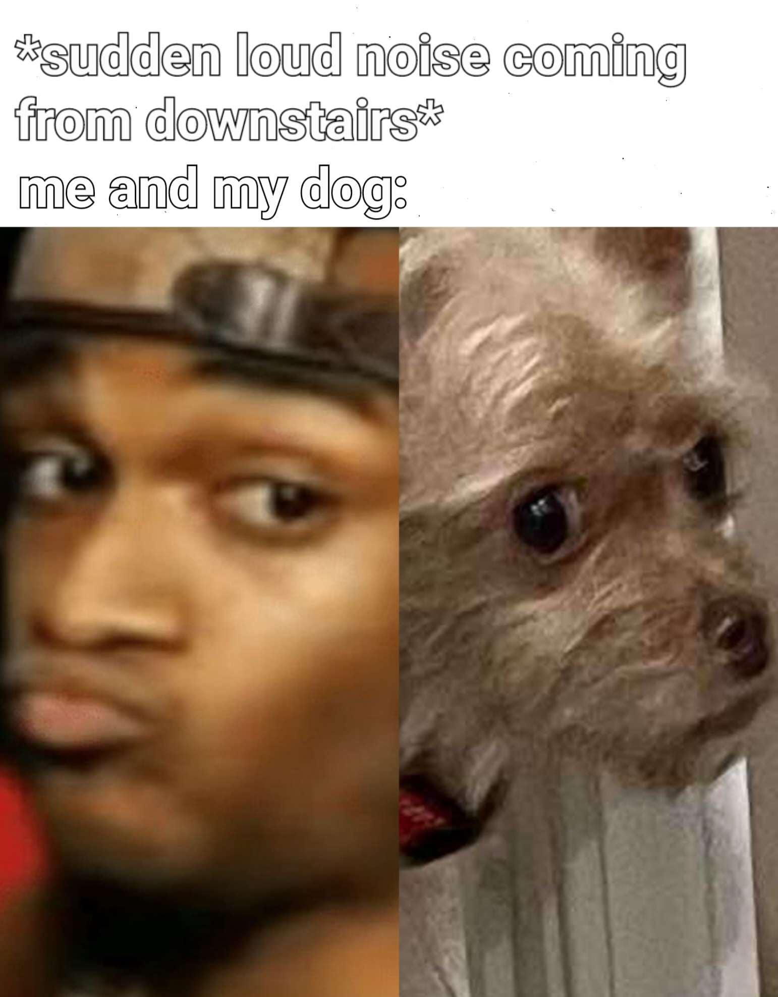 classic memes, vintage memes, viral tweets, timeless memes, popular memes, viral memes, internet humor, trending memes, meme classics, funny memes, meme culture, old memes, best memes