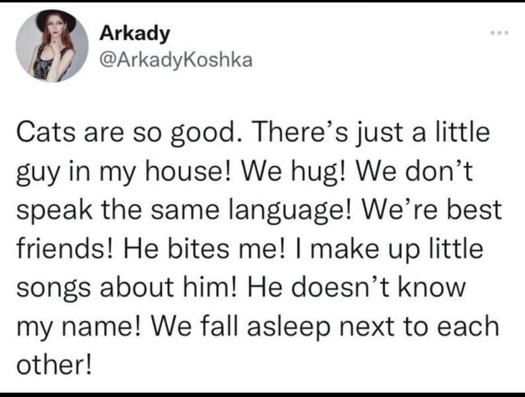 Arkady @ArkadyKoshka Cats are so good. There's just a little guy in my house! We hug! We don't speak the same language! We're best friends! He bites me! I make up little songs about him! He doesn't know my name! We fall asleep next to each other!