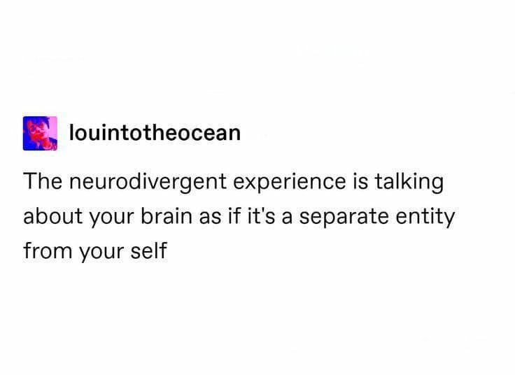 classic memes, vintage memes, viral tweets, timeless memes, legendary memes, iconic viral humor, enduring viral jokes, famous viral references, evergreen meme references, perpetual meme jokes, unending meme loops, meme culture, internet culture, digital humor, best memes, old memes