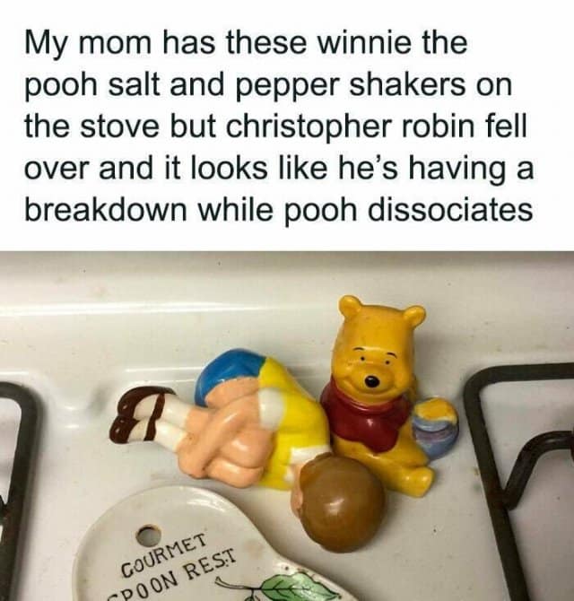 My mom has these winnie the pooh salt and pepper shakers on the stove but christopher robin fell over and it looks like he's having a breakdown while poo dissociates GOURMET - DOON PEST