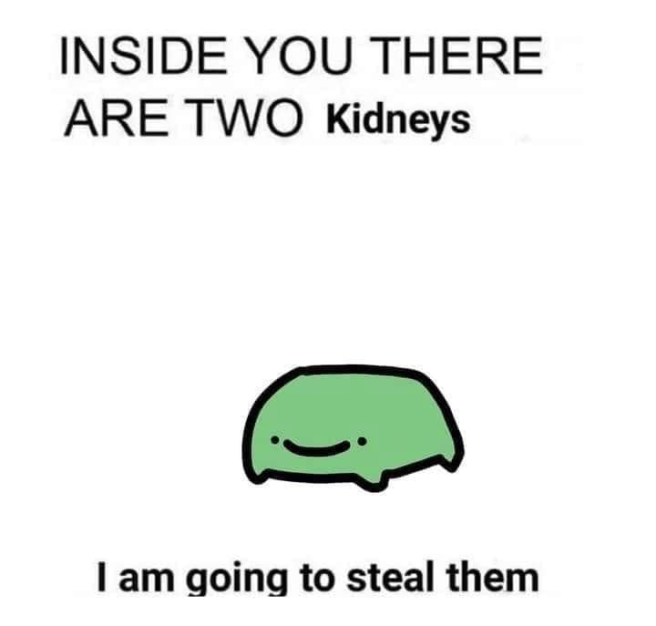 INSIDE YOU THERE ARE TWO Kidneys 1 am going to steal them