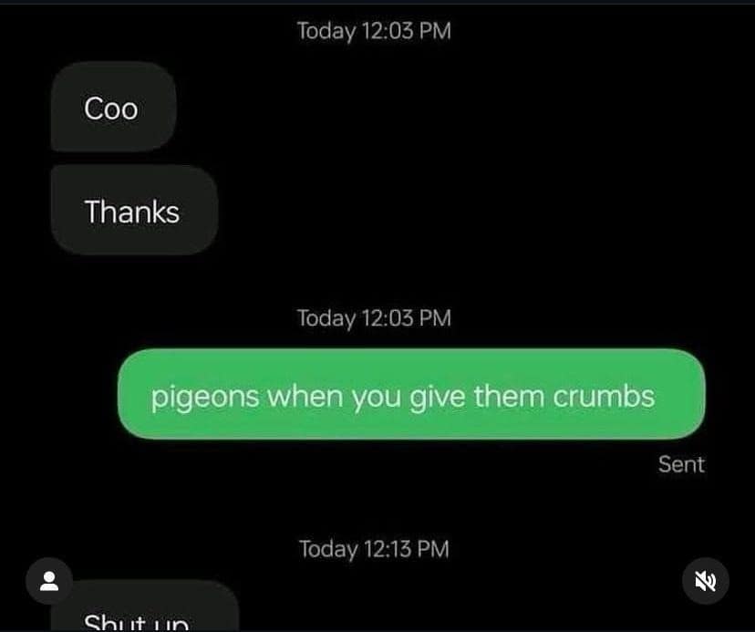 classic memes, viral tweets, vintage memes, best memes, old memes, old but gold memes, timeless memes, evergreen memes, viral memes, trending memes, internet jokes, retro memes, old school memes, internet memes, web memes, online humor