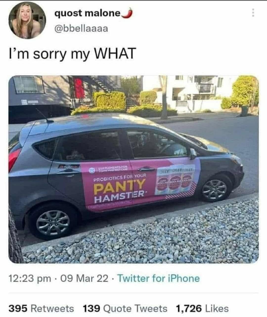 classic memes, viral tweets, vintage memes, best memes, old memes, old but gold memes, timeless memes, evergreen memes, viral memes, trending memes, internet jokes, retro memes, old school memes, internet memes, web memes, online humor