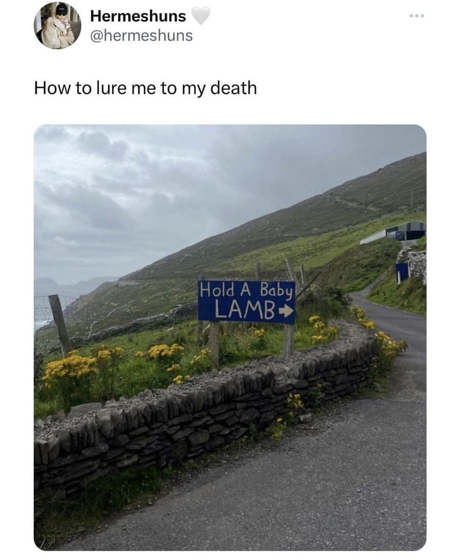 classic memes, vintage memes, viral tweets, timeless memes, evergreen memes, viral memes, iconic posts, legendary jokes, internet memes, web classics, digital relics, meme nostalgia, retro humor, old‑school laughs, best memes, old memes