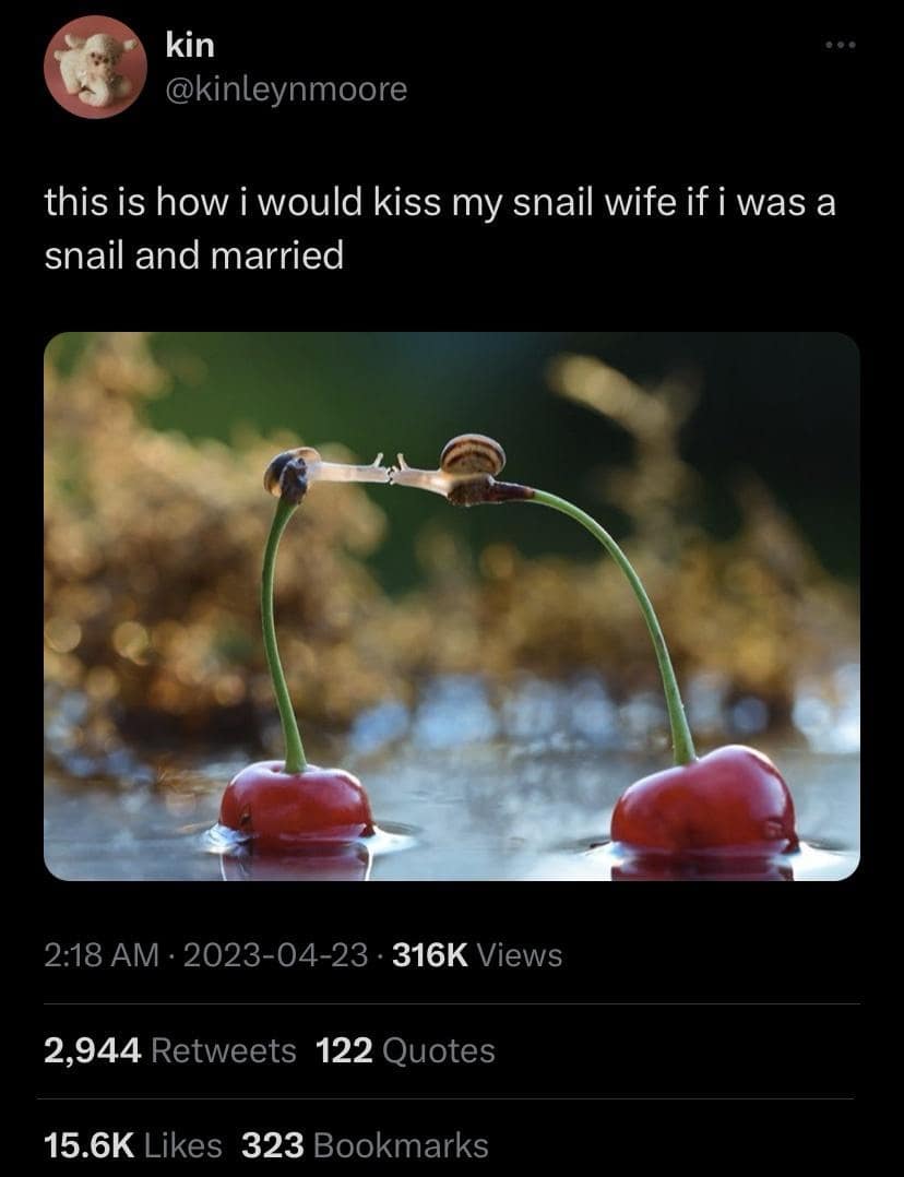 classic memes, vintage memes, viral tweets, timeless memes, evergreen jokes, viral memes, iconic templates, legendary laughs, internet memes, web classics, digital nostalgia, retro memes, old school memes, meme heritage, best memes, old memes