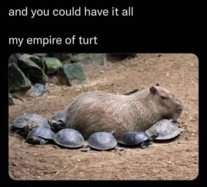 and you could have it all my empire of turt capybara meme