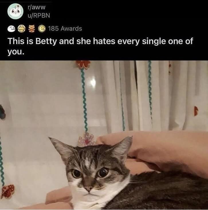 classic memes, vintage memes, viral tweets, timeless memes, evergreen humor, viral memes, iconic templates, legendary jokes, internet memes, web classics, digital humor, retro memes, old school memes, meme nostalgia, old memes, best memes