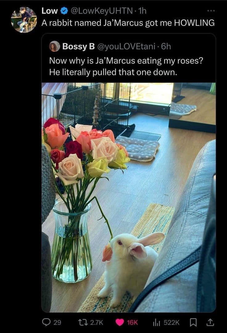 timeless memes, evergreen memes, viral memes, iconic memes, legendary templates, internet memes, web humor, digital classics, meme history, meme culture, meme evolution, old memes, best memes