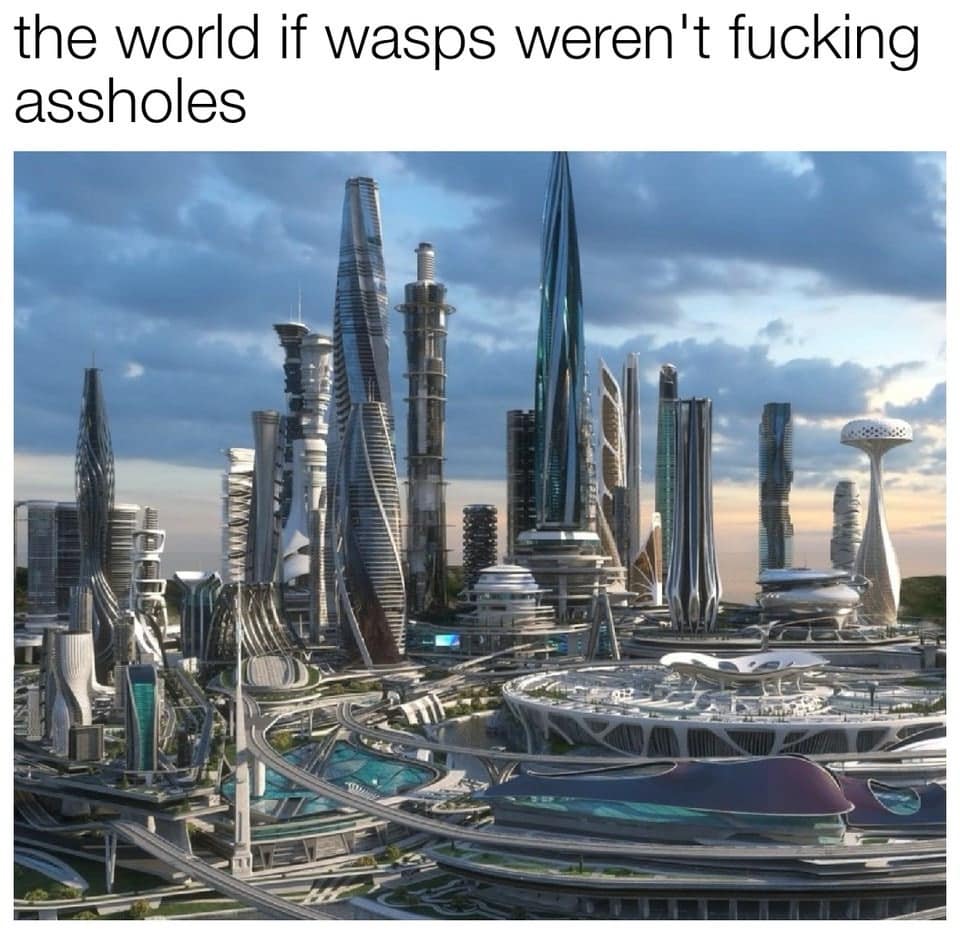 the world if wasps weren't fucking assholes