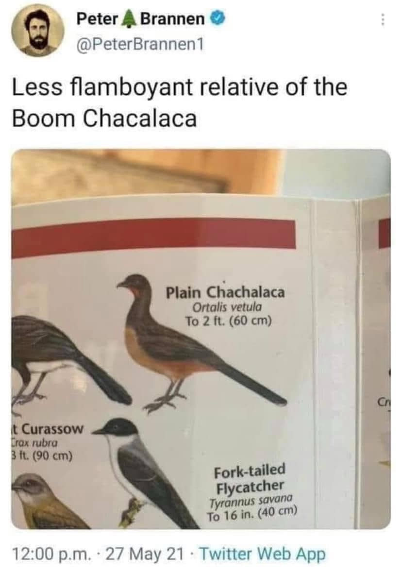 Morning snack. Stepper Dan @AyeYoD1Flem Just drive yourself to the police station they waiting on you I already made the report