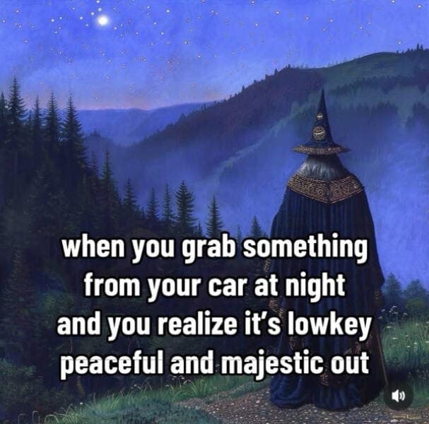 when you grab something from your car at night and you realize it's lowkey peaceful and majestic out