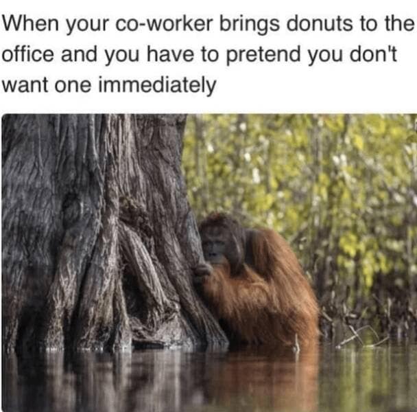 When your co-worker brings donuts to the office and you have to pretend you don't want one immediately