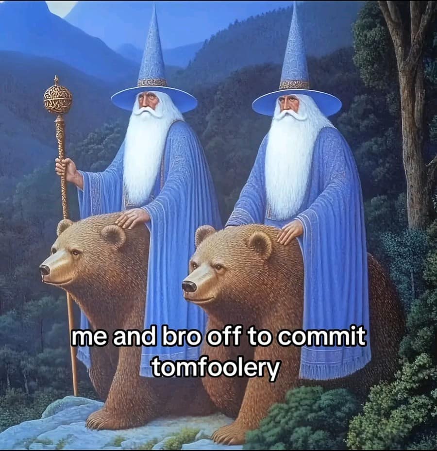me and bro off to commit tomfoolery wizard meme
