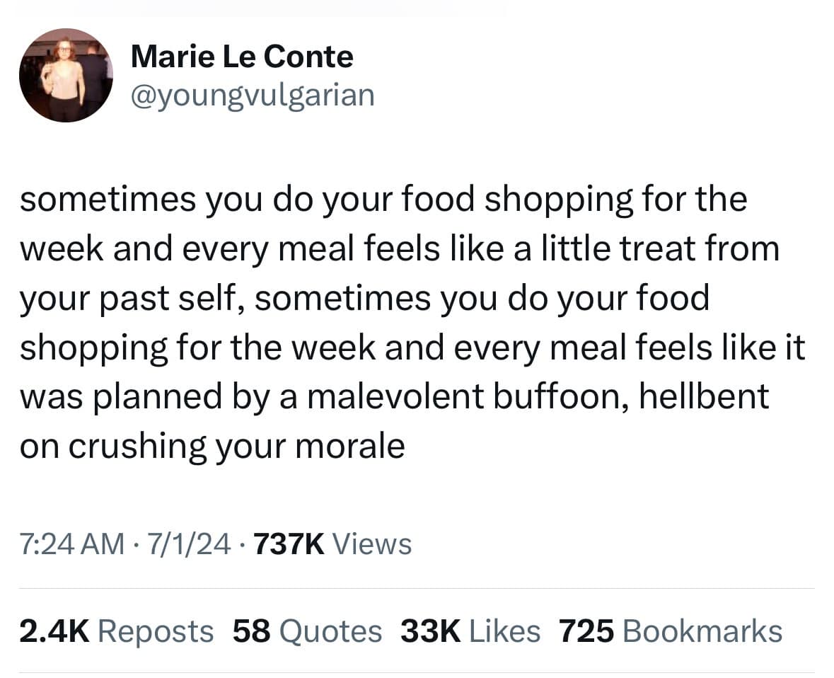 Marie Le Conte @youngvulgarian sometimes you do your food shopping for the week and every meal feels like a little treat from your past self, sometimes you do your food shopping for the week and every meal feels like it was planned by a malevolent buffoon, hellbent on crushing your morale 7:24 AM • 7/1/24 • 737K Views 2.4K Reposts 58 Quotes 33K Likes 725 Bookmarks