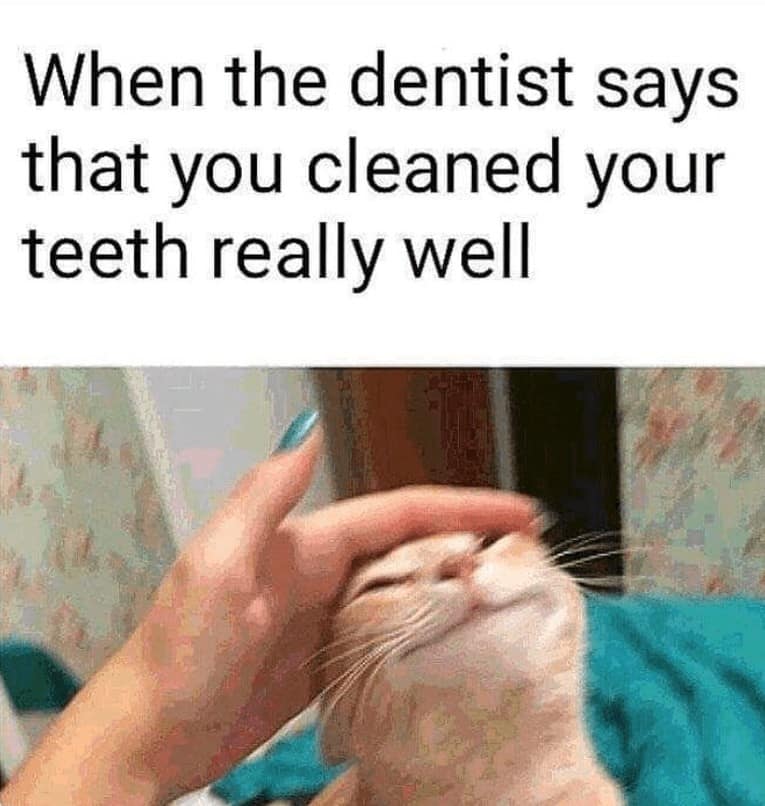dentist meme, dentist memes, dental meme, tooth meme, dentist joke, dentist humor, oral care jokes, funny dentist, comedic dentist, dentist laughs, tooth jokes, molar humor, enamel gags
