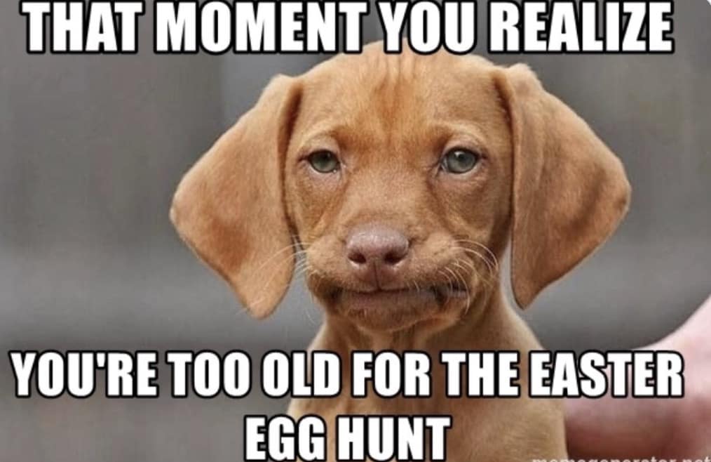 easter memes, easter 2025, holiday memes, bunny memes, jesus memes, funny easter, easter jokes, egg hunt humor, easter bunny memes, chocolate memes, candy jokes
