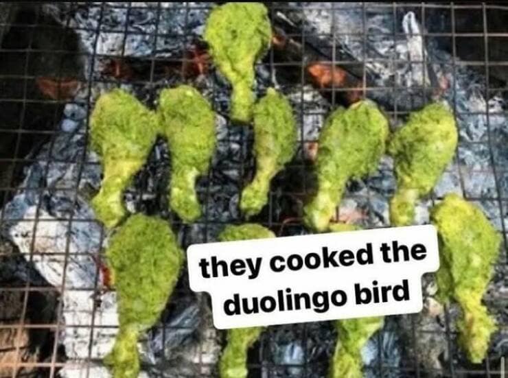 they cooked the duolingo bird