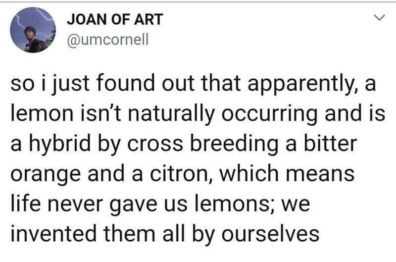 fruit memes, banana memes, apple memes, watermelon memes, fruity memes