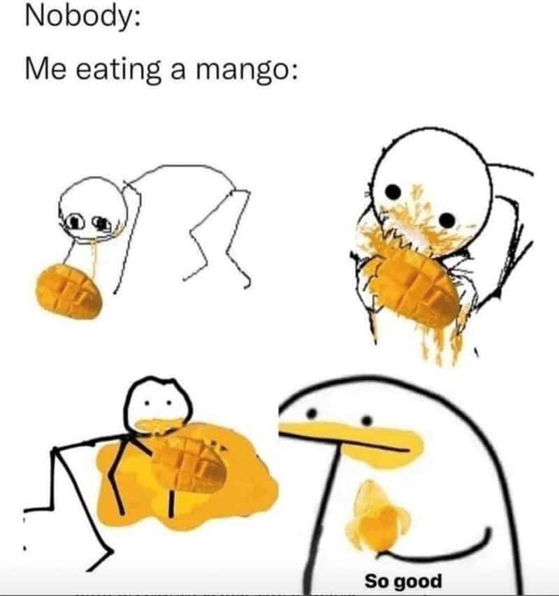 fruit memes, banana memes, apple memes, watermelon memes, fruity memes