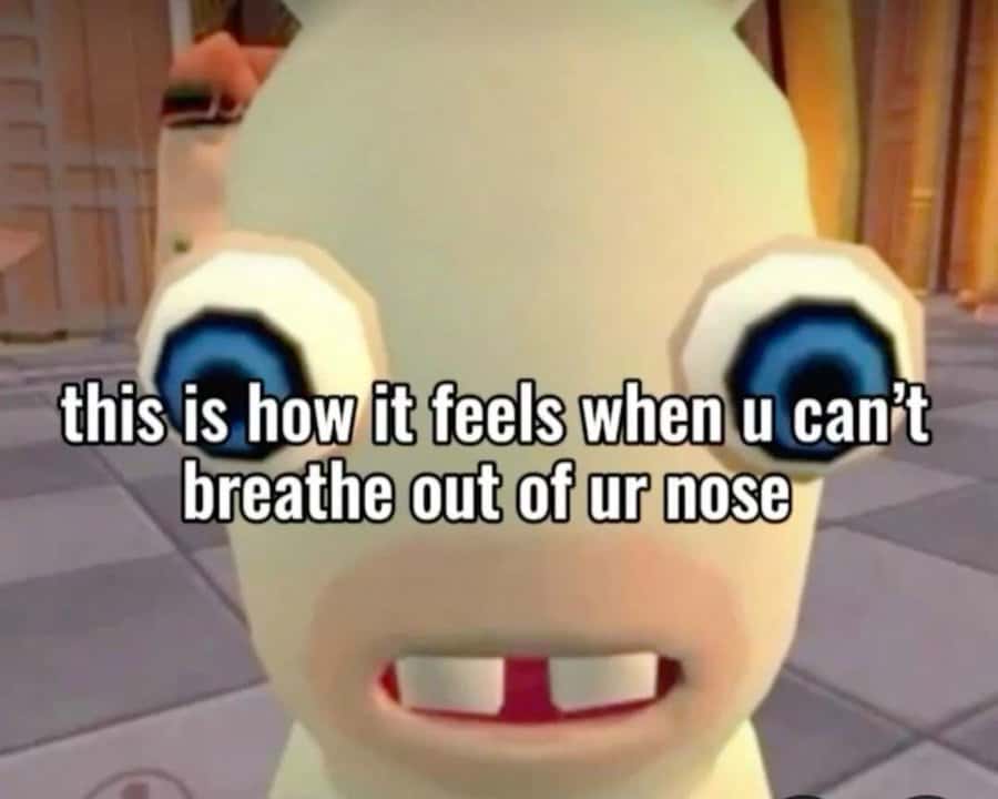 funny tiktok, funny tiktok screenshots, funnt tiktoks, hilarious TikTok, comedic TikTok, TikTok laughs, viral TikTok, trending TikTok, popular TikTok clips, TikTok trends, challenge trends, dance trends, social media memes, video memes, scroll humor