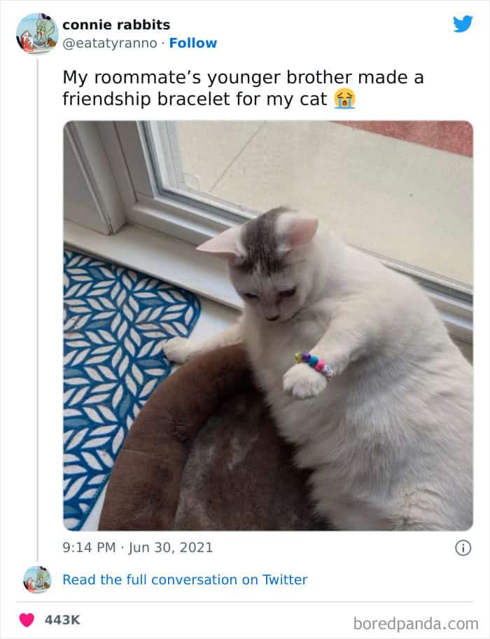 funny animal memes, animal memes, pet memes, cute animal memes, dog memes, cat memes, wildlife memes, critter memes, animal humor, creature jokes, furry memes, zoo memes, adorable memes, animal reactions, animal pics, pet humor