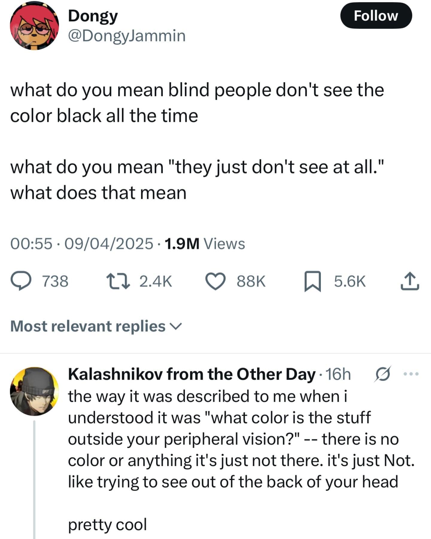 what do you mean blind people don't see the color black all the time what do you mean "they just don't see at all." what does that mean