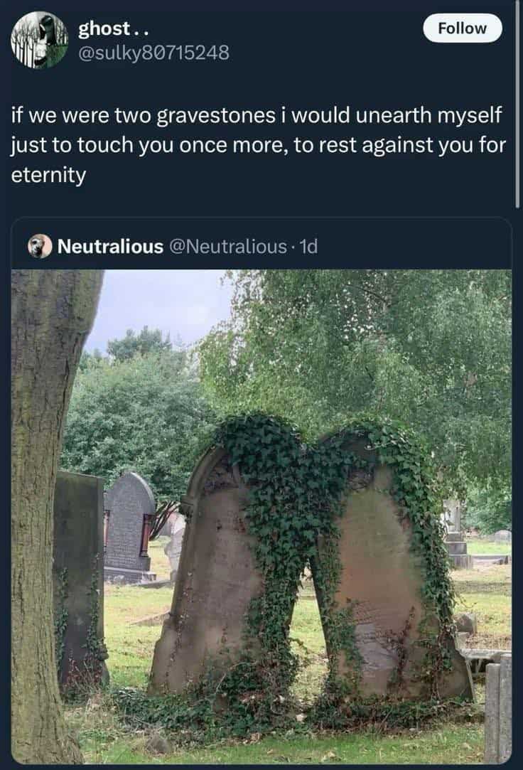 if we were two gravestones i would unearth myself just to touch you once more, to rest against you for eternity