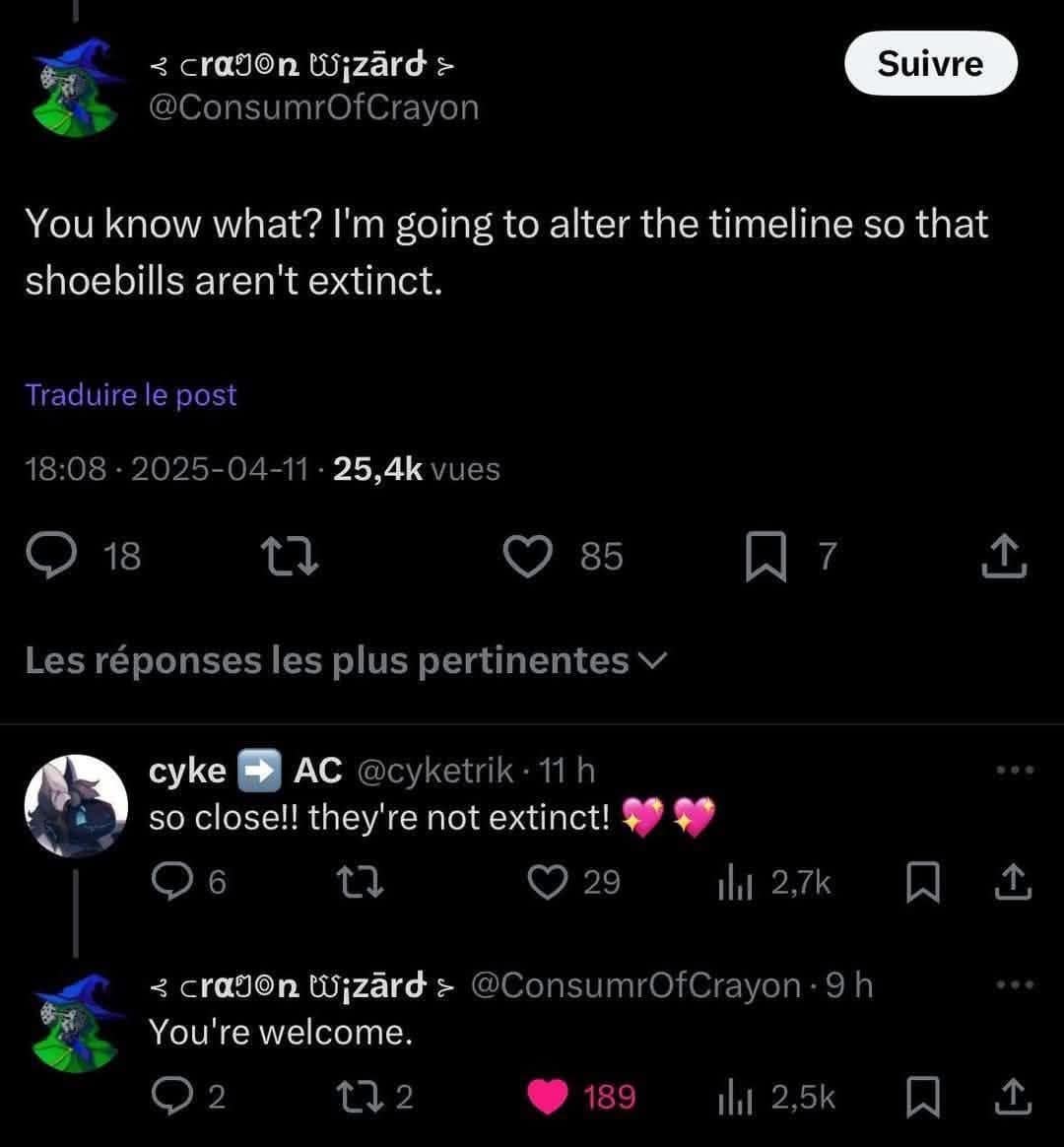 You know what? I'm going to alter the timeline so that shoebills aren't extinct.