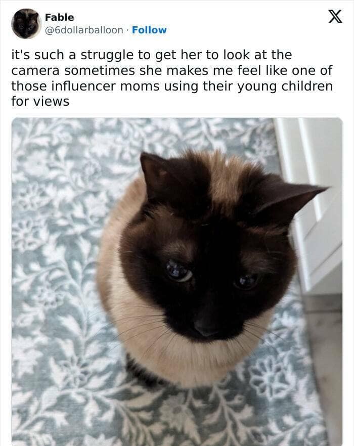 it's such a struggle to get her to look at the camera sometimes she makes me feel like one of those influencer moms using their young children for views