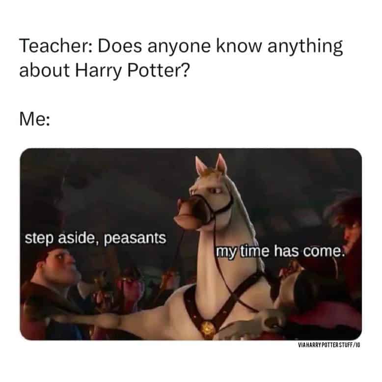 harry potter memes, hogwarts memes, wizard memes, magic memes, quidditch memes, potterverse memes, potter memes