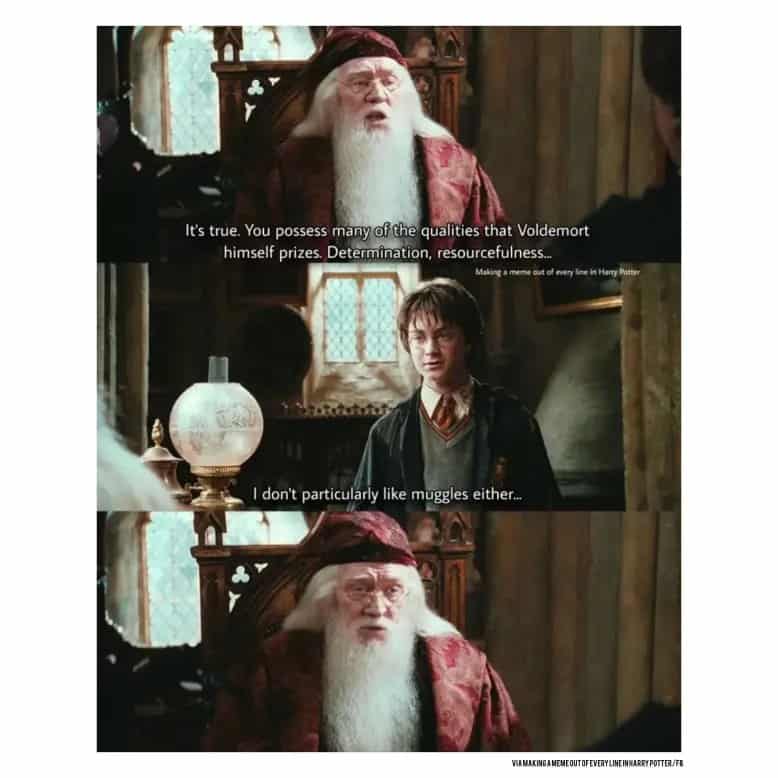 harry potter memes, hogwarts memes, wizard memes, magic memes, quidditch memes, potterverse memes, potter memes