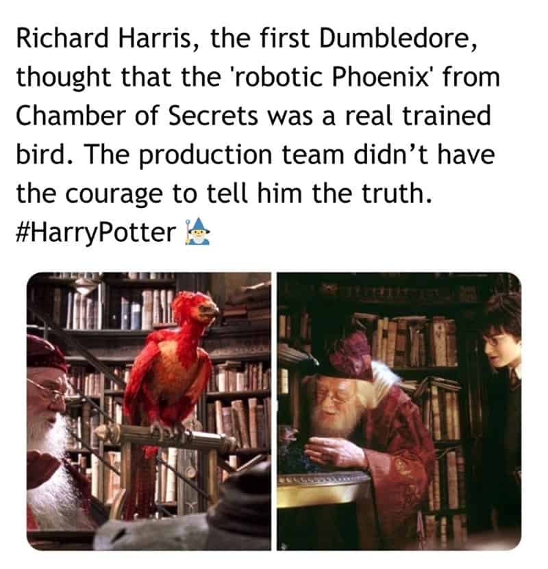 harry potter memes, hogwarts memes, harry potter jokes, harry potter humor, potterverse memes