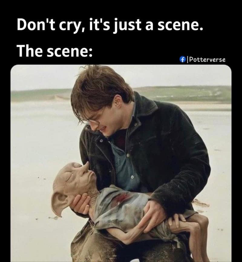 harry potter memes, hogwarts memes, harry potter jokes, harry potter humor, potterverse memes