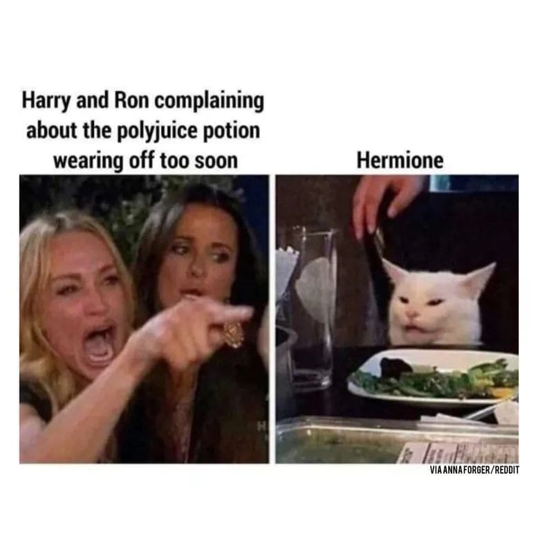harry potter memes, hogwarts memes, wizard memes, magic memes, quidditch memes, potterverse memes, potter memes