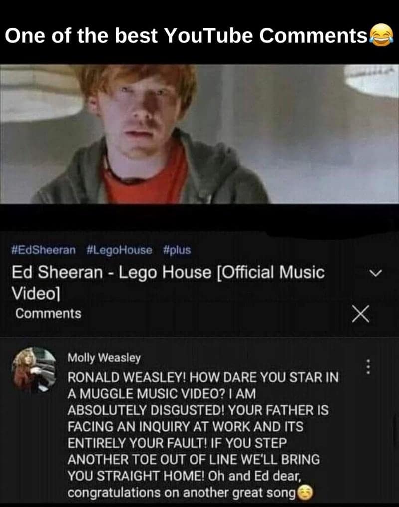 harry potter memes-23-20250408 - Thunder Dungeon | The Funniest Memes.  Period., image size:800x1017