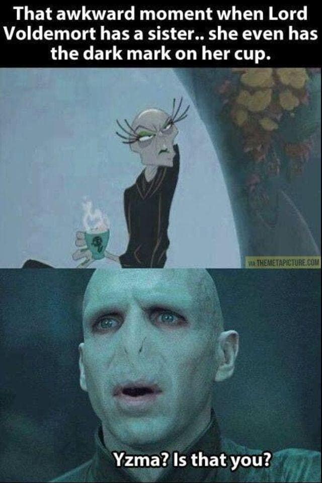 harry potter memes, hogwarts memes, harry potter jokes, harry potter humor, potterverse memes