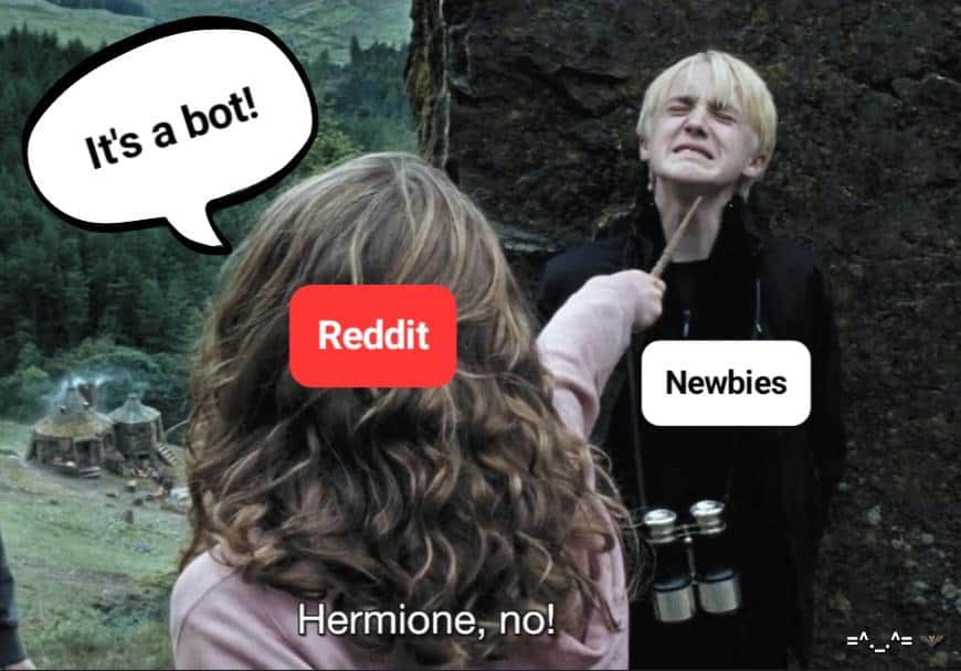harry potter memes, hogwarts memes, harry potter jokes, harry potter humor, potterverse memes