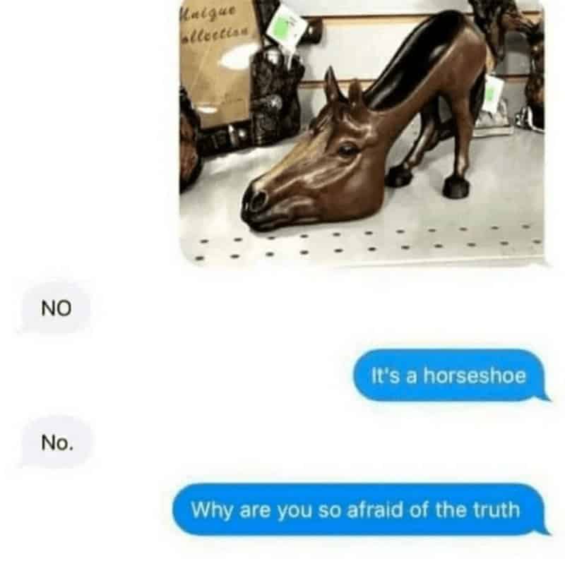 horse memes, funny horse, equestrian memes, horse jokes, horse girl memes