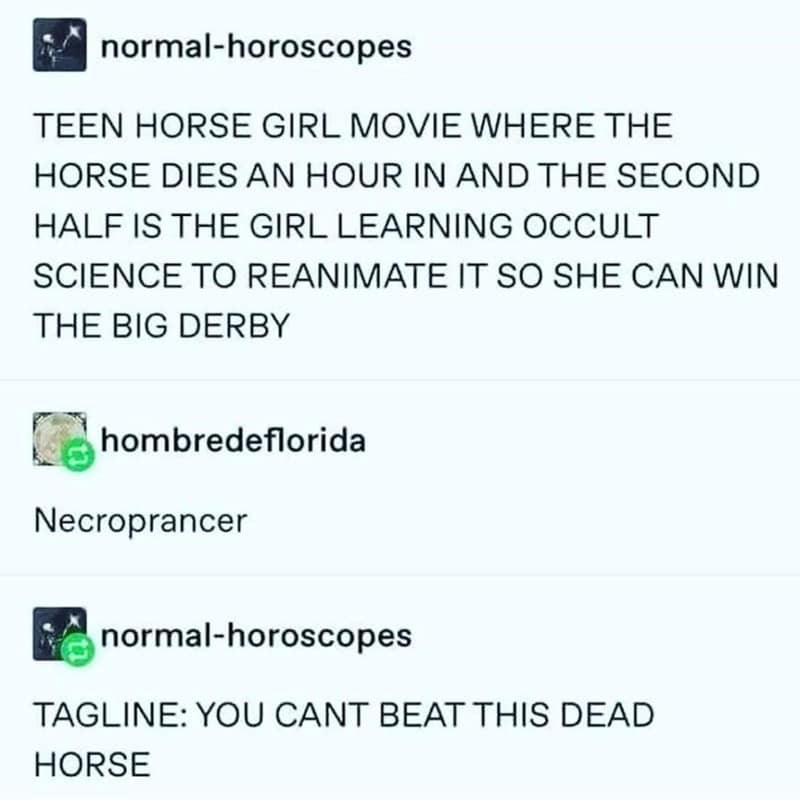 horse memes, funny horse, equestrian memes, horse jokes, horse girl memes