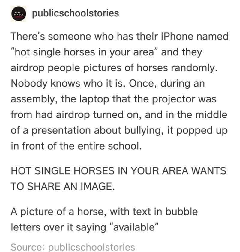 horse memes, funny horse, equestrian memes, horse jokes, horse girl memes