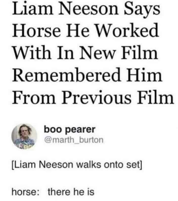 horse memes, funny horse, equestrian memes, horse jokes, horse girl memes