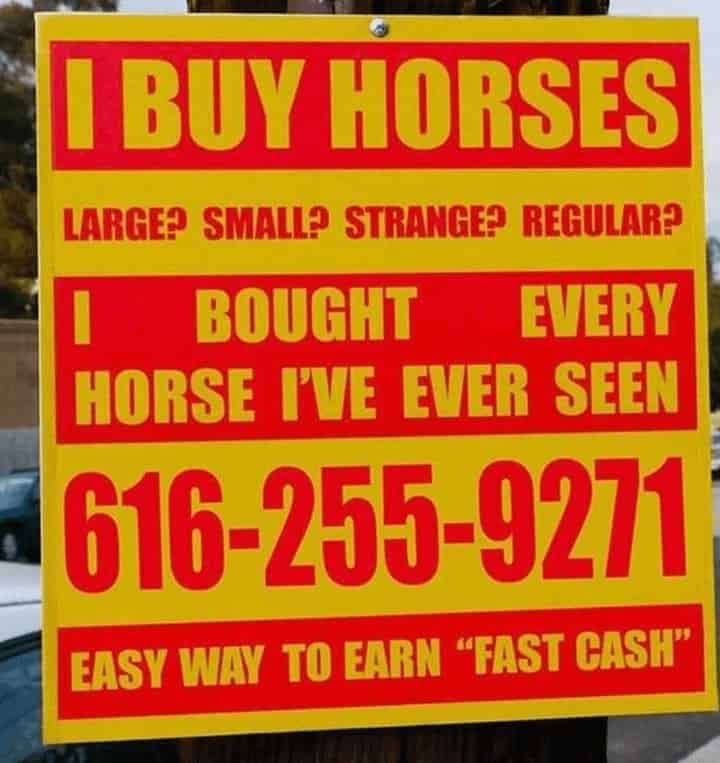 horse memes, funny horse, equestrian memes, horse jokes, horse girl memes