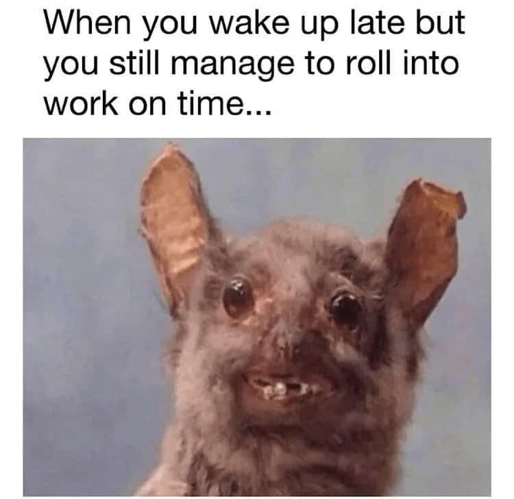 introvert memes, antisocial memes, shy memes, quiet life jokes, stay‑inside laughs, solitude humor, hermit jokes, social anxiety memes, awkward interaction gags, nervous small‑talk laughs, stay home memes, blanket fort jokes, couch sanctuary humor