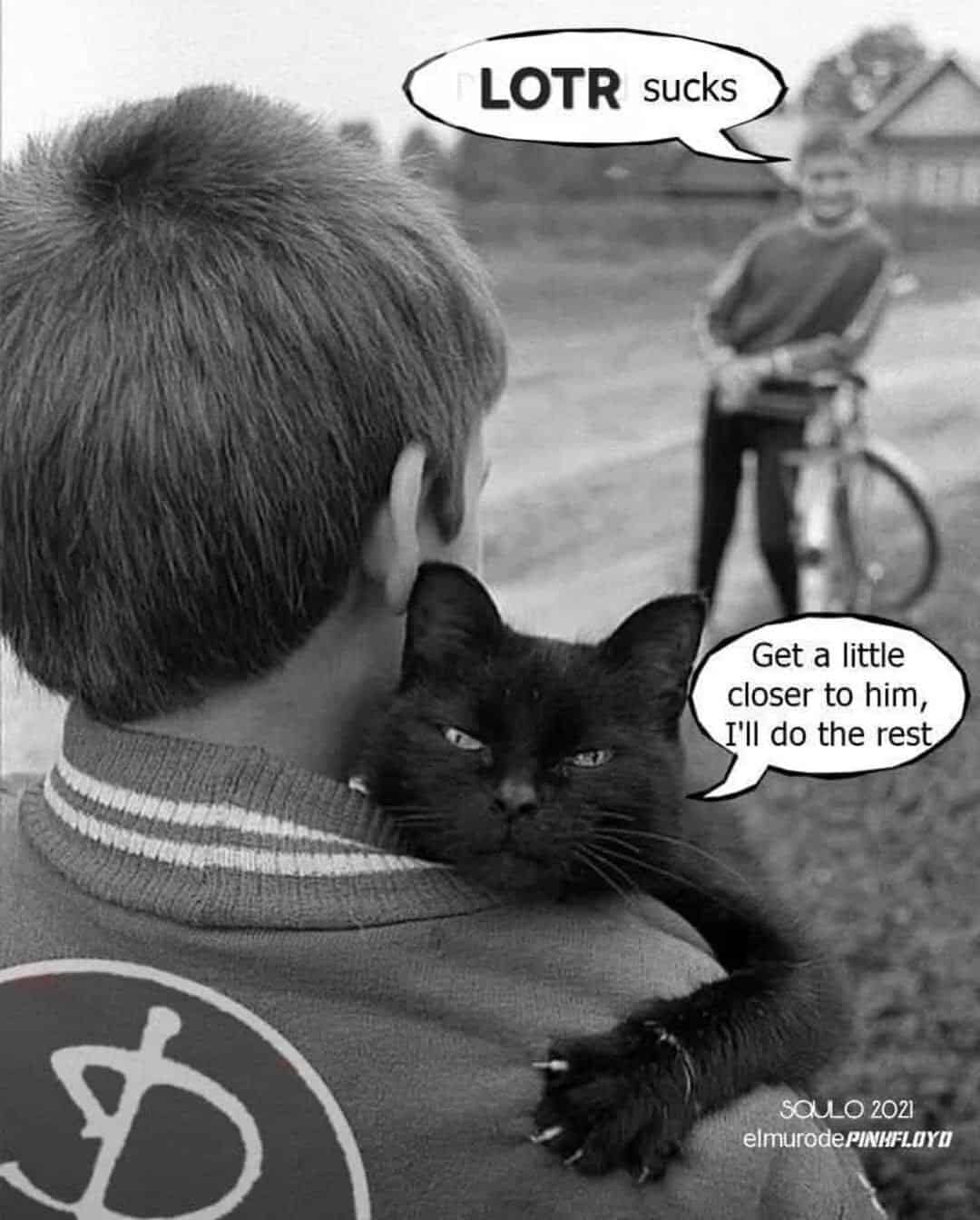 lotr memes, lord of the rings memes, middle earth memes, hobbit jokes, tolkien jokes, fellowship humor, gandalf memes, wizard jokes, staff humor, hobbit memes, shire jokes, baggins humor, funny lotr memes