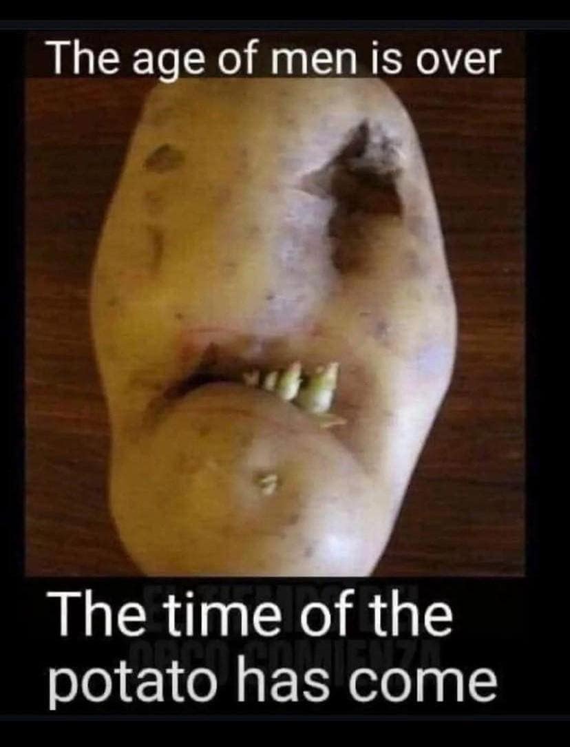 lotr memes, lord of the rings memes, middle earth memes, hobbit jokes, tolkien jokes, fellowship humor, gandalf memes, wizard jokes, staff humor, hobbit memes, shire jokes, baggins humor, funny lotr memes